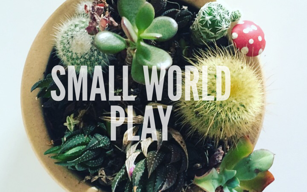 SMALL WORLD PLAY – WHERE DO I START?  A BEGINNERS GUIDE TO SMALL WORLD PLAY