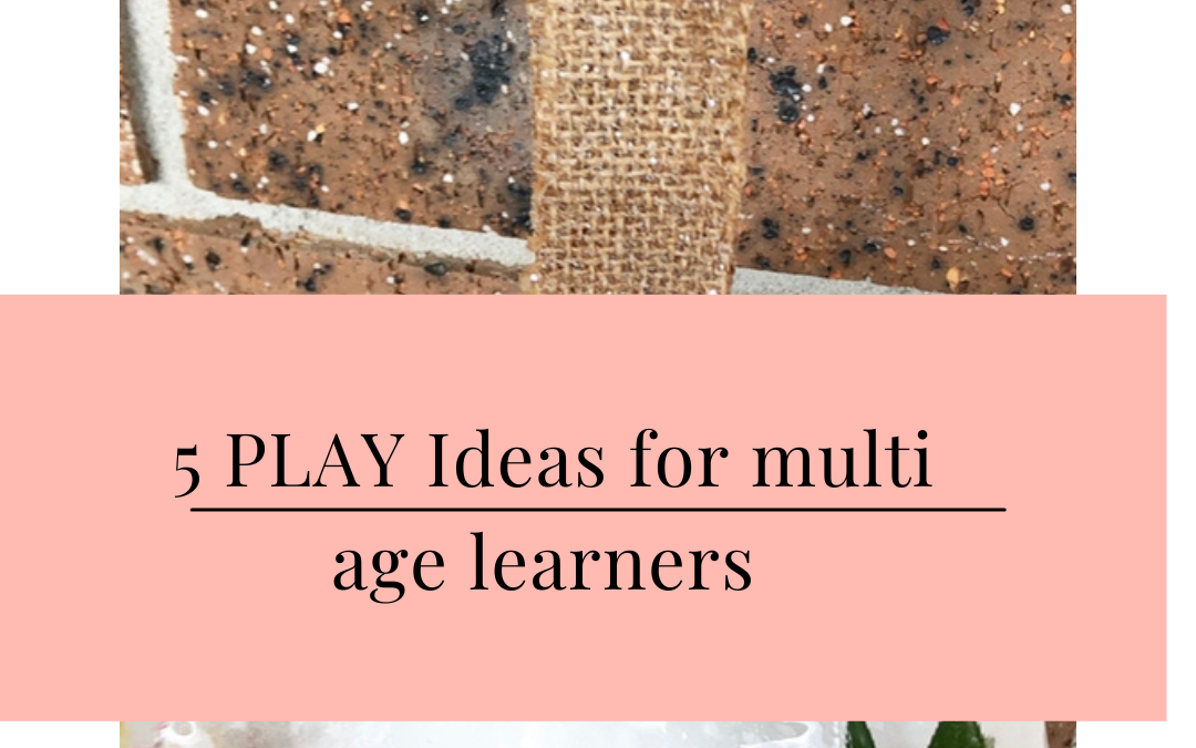 5 PLAY IDEAS FOR MULTI AGE LEARNERS