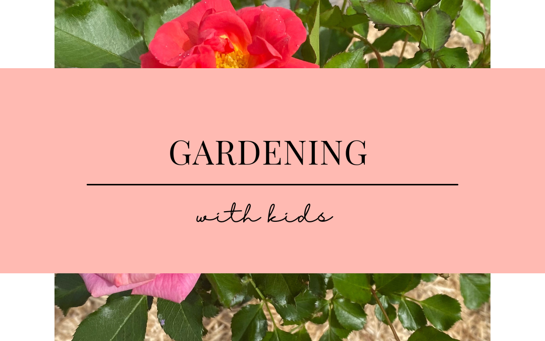 GARDENING – Your time to bloom!!