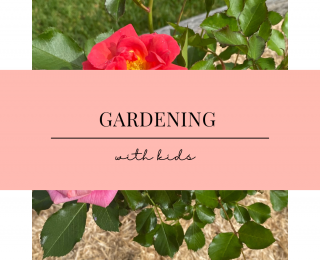 GARDENING – Your time to bloom!!