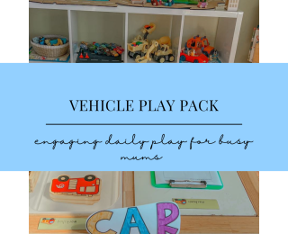 Project PLAY Pack Vehicle Time: Engaging Daily Play Plans for Busy Mums